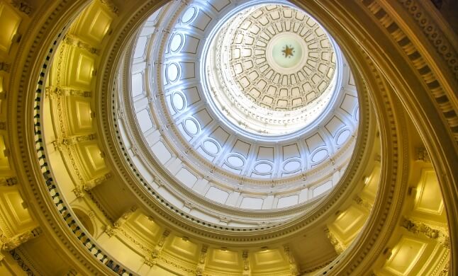 National Appellate Litigation & Consulting